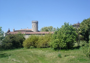Autour du château du Vergier - Famille de Chabannes